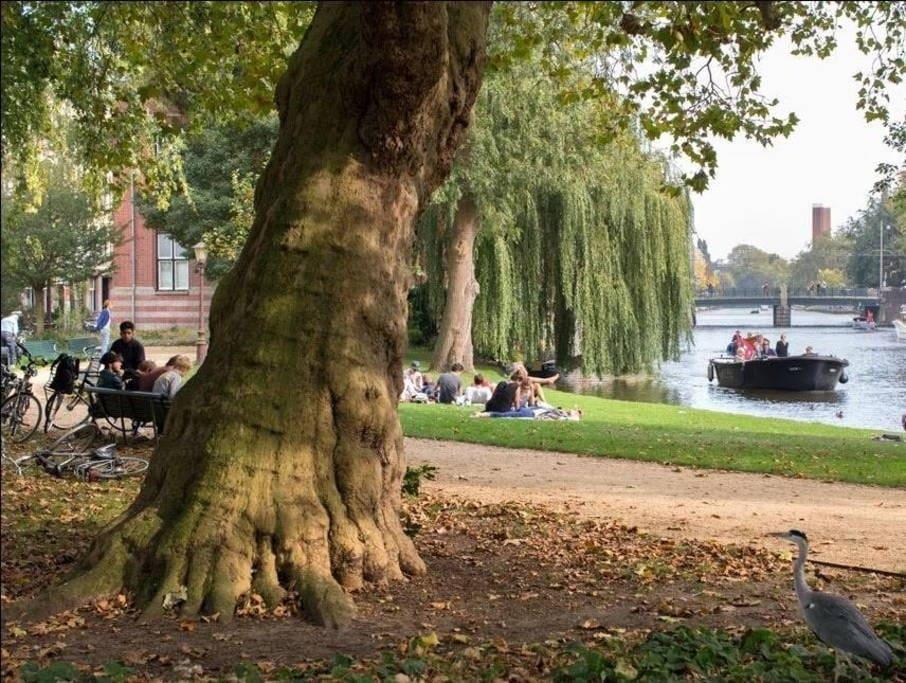 Perfect Apt - Heart Of Amsterdam Ngoại thất bức ảnh